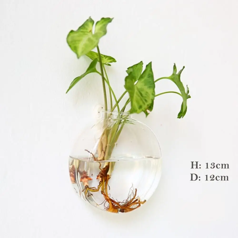 Szklany wazon wiszący nieregularny kształt — terrarium ścienne Wielo