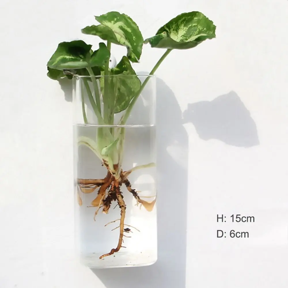 Szklany wazon wiszący nieregularny kształt — terrarium ścienne Zielony