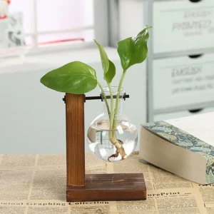 Terrarium na blat z drewnianą ramką – szklany wazon hydroniczny w stylu vintage Biały